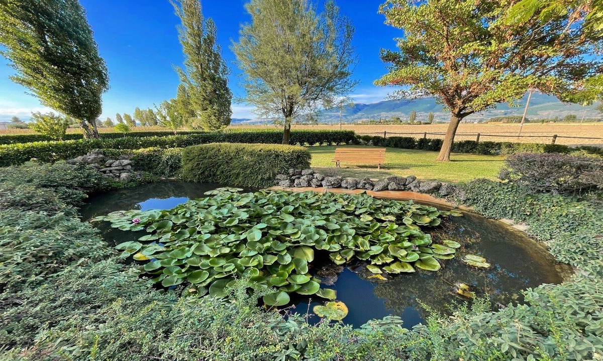 Limiti Villa | Sleeps 11. Italian holiday house with private pool just amazing - exc yours!