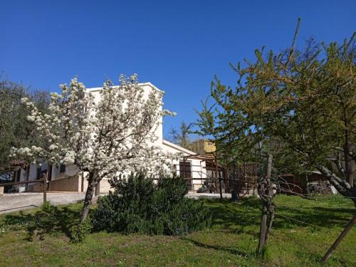 Barchi Bed & Breakfast | Sotto l'Ulivo
