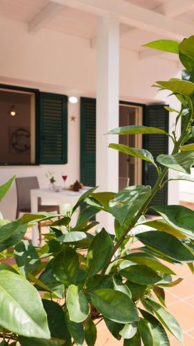 Peschici House | Spiaggia Dorata
