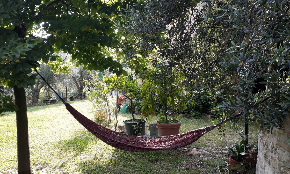 Rotella House | Stone house large garden among olive and oak trees, pets allowed