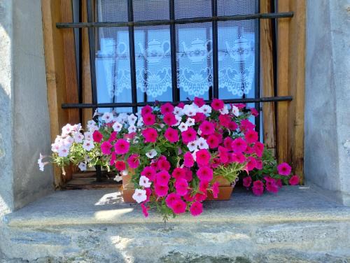 Venoz Bed & Breakfast | STOP & STARE STARS