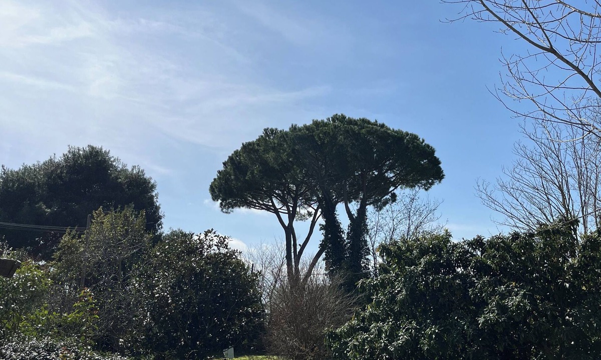 Grosseto Apartment | Sulla Strada del Mare is a comfortable apartment immersed in nature.