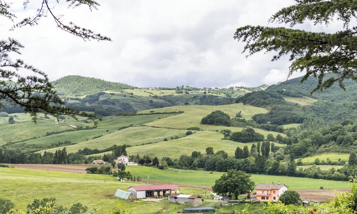 Monteluiano Apartment | Tenuta Borgo San Michele