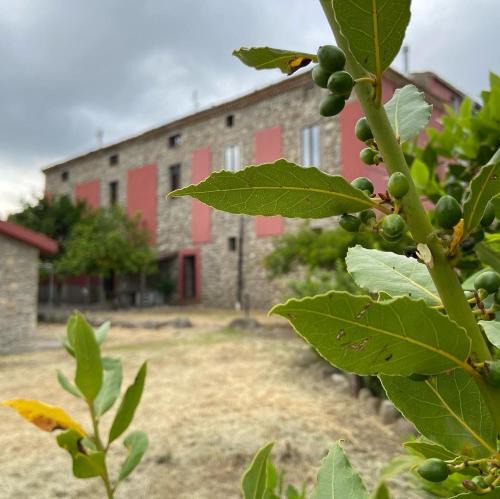 Rossano Bed & Breakfast | Tenuta TerraRossa