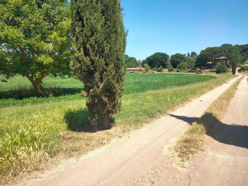 Capranica House | Tenuta Vallenoci