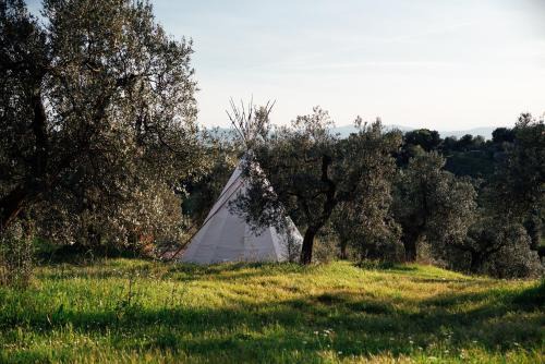 Roccastrada Other | Tepee - Glamping Maremma, Toscana