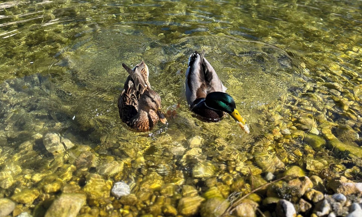 Scanno Apartment | The Mallards