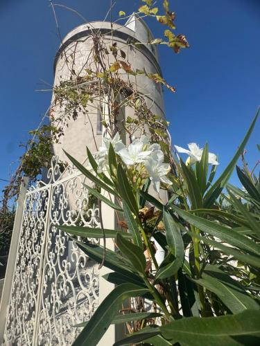 Vico del Gargano Bed & Breakfast | Torre Biancaluna