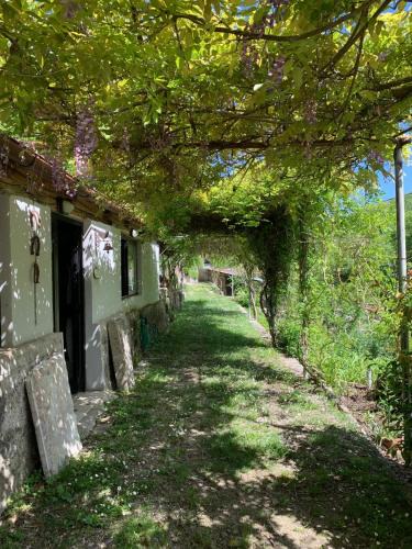 Rieti Bed & Breakfast | Tra Fiori e Antichità
