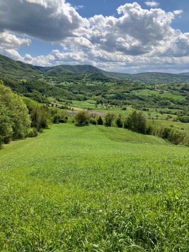 Pieve Santo Stefano Apartment | Tuscany Nature Relax