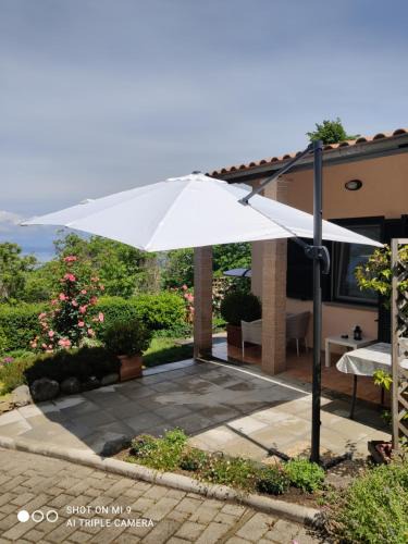 Montefiascone House | Un Giardino sul Lago
