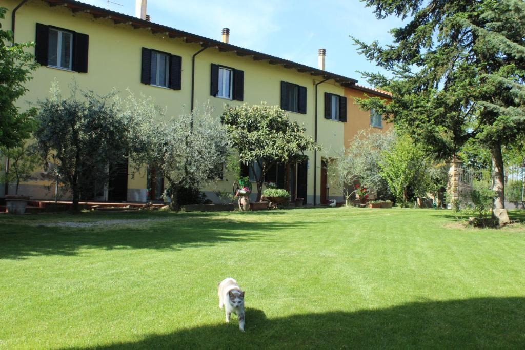 San Zeno Apartment | Veramaro,accogliente appartamento in campagna