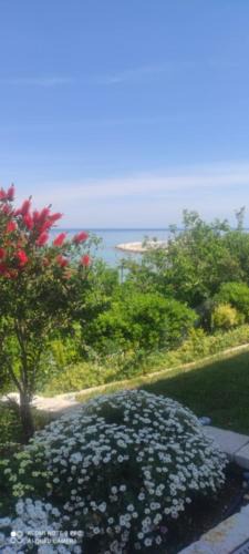 Rodi Garganico Apartment | VerdeMare