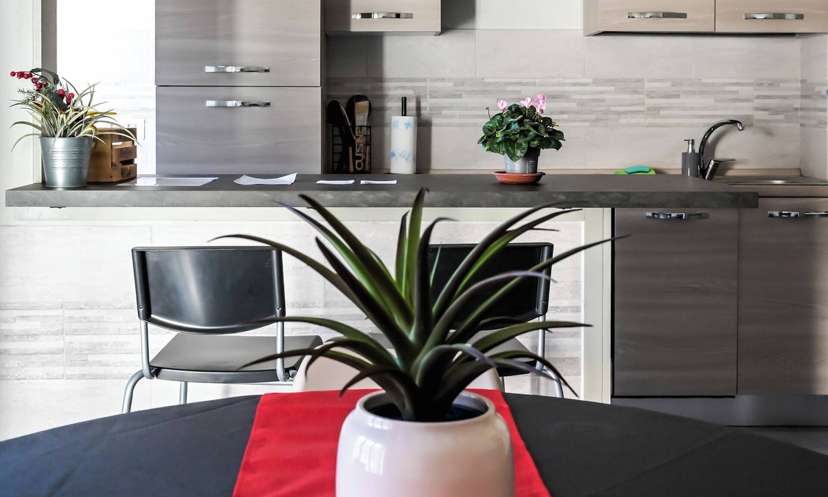 Cuneo Nuova Apartment | Very cozy apartment on the 3rd floor(with elevator) in downtown Cuneo