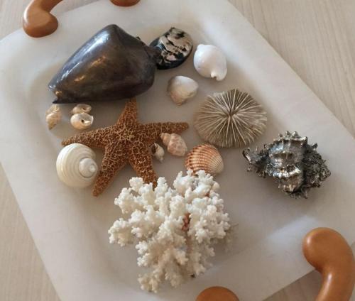 Porto Recanati Apartment | Vetromarino