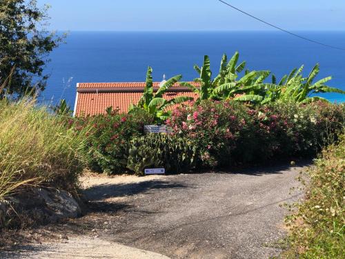 Parghelia Apartment | Villa Banana, appartment near Tropea
