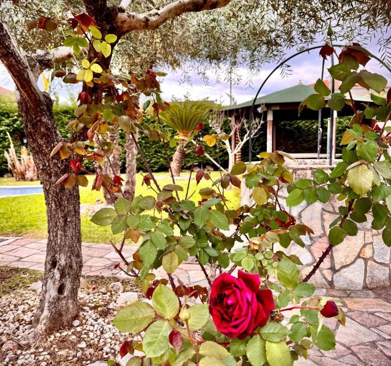 Marina di Casal Velino Villa | Villa Graziosa