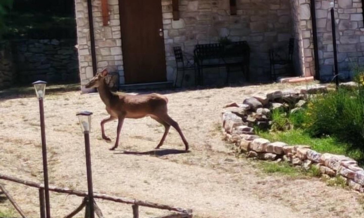 Roccamorice Villa | Villa in Majella National Park near the Celestine hermitages.