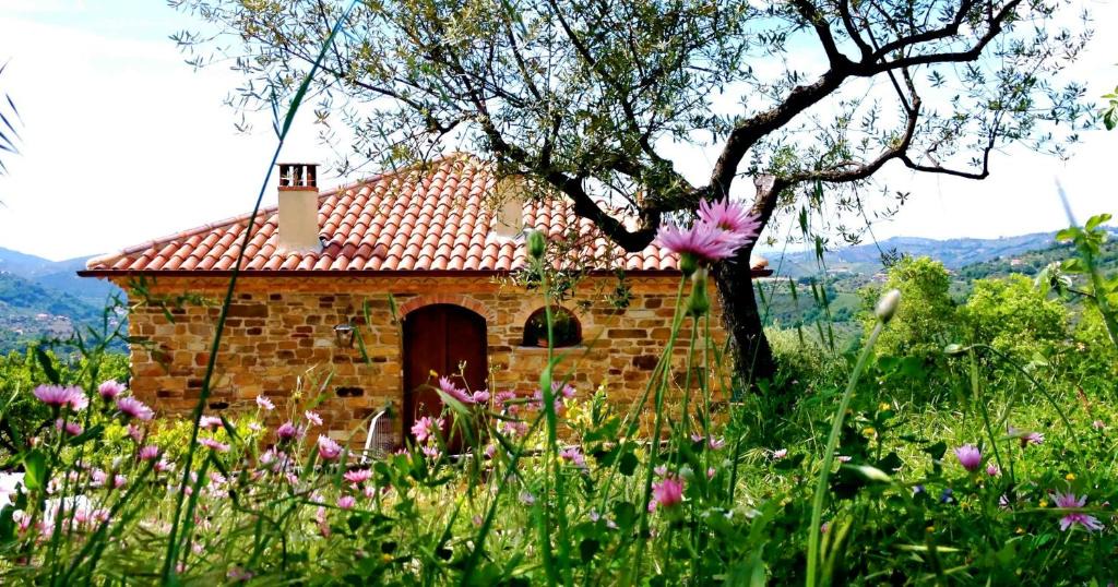 Laureana Cilento House | Villa Nigro