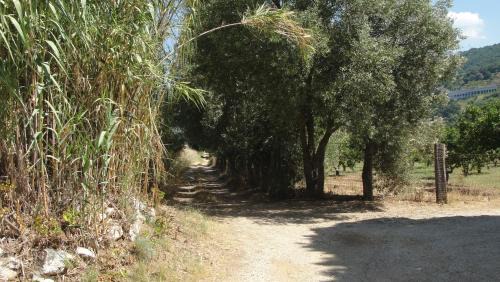 Pizzo Bed & Breakfast | Villa Primaluce