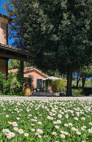 Direttissima del Conero Apartment | Villa Rosa Augusta
