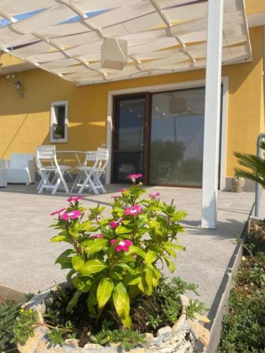 Acquaviva delle Fonti House | Villa Trellame - Casa vacanze tra gli ulivi