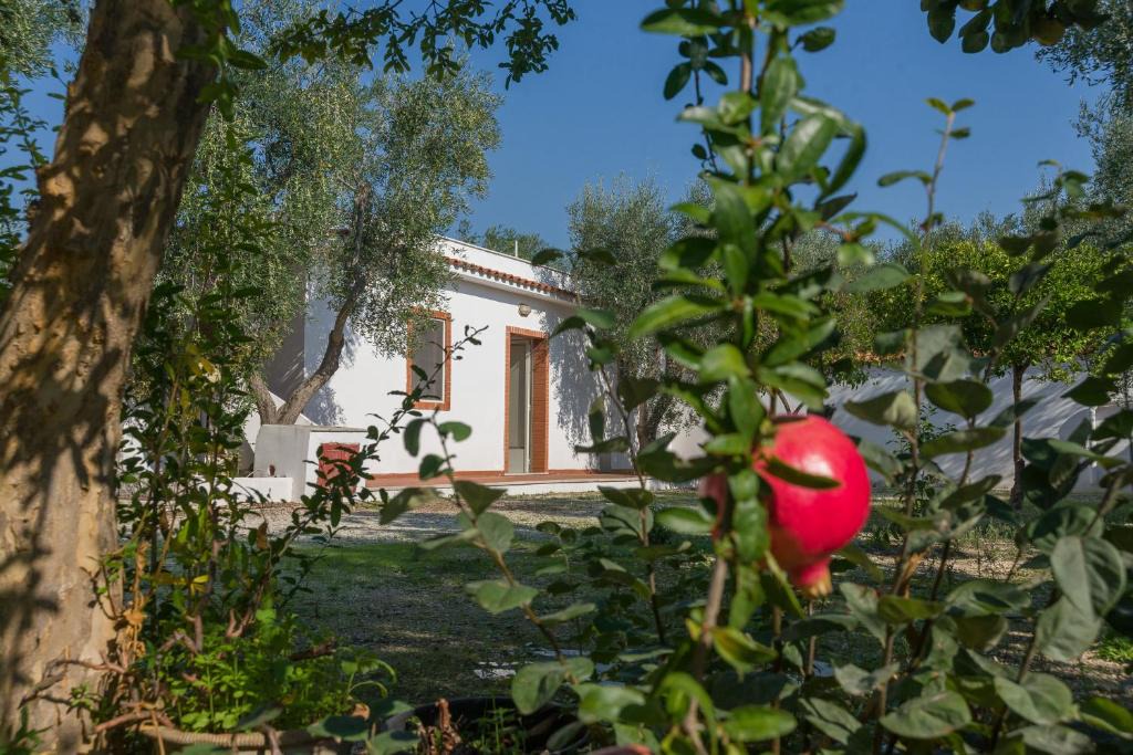 Mattinata Villa | Villetta Miramare