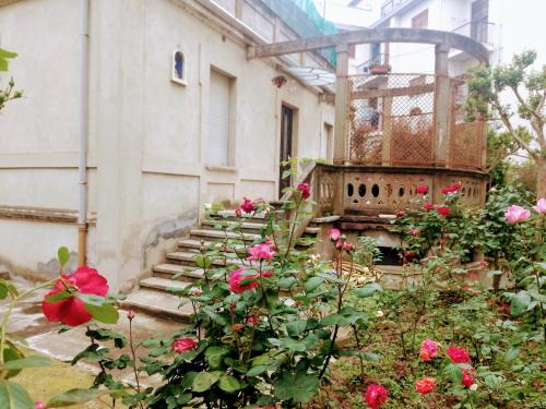 Asti Apartment | Villino delle rose