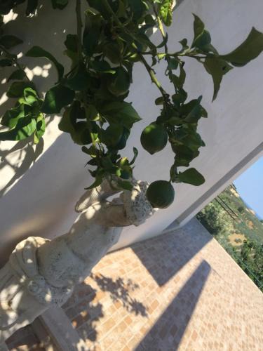 Vasto Apartment | Vista Vasto