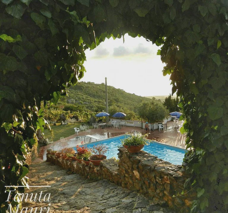 Nocera Terinese Bed & Breakfast | VOYAGE FARMHOUSE, RELAX OASIS, SWIMMING POOL, FAMILY HOLIDAY, CALABRESE KITCHEN