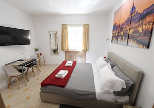 1 bedroom(s) House near Roma