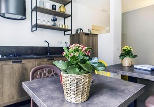 Apartment, Rome