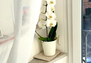 Cavour Guest Apartment