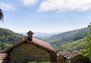 Holiday apartment in the medieval old town