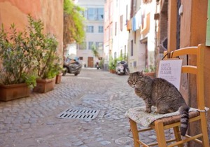 La Bonosa (Trastevere)