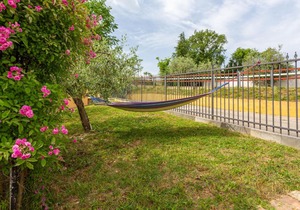 Locazione Turistica Sunflower - ANO105
