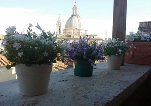 Navona 49 Luxury Suites&Apartment