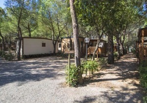 Vacation home Gineprino in Marina di Bibbona - 4 persons, 2 bedrooms