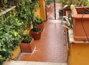 Onofrio | Trastevere