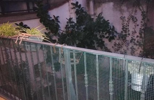 Rione VI Parione Apartment | Appartamento Teatro Pace