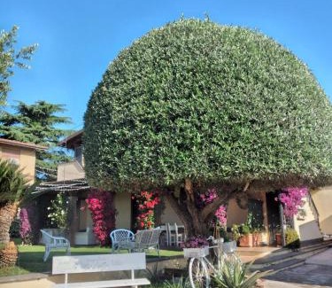 Rome House | Appartamento VILLA ADRY