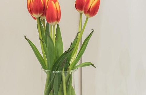 Rione III Colonna Apartment | Frattina 35