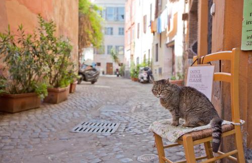 Trastevere Apartment | La Bonosa (Trastevere)