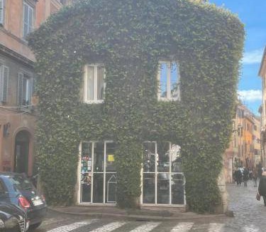 Monti Bed & Breakfast | 28 m² Bed and breakfast ∙ 3 guests