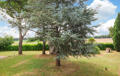 Chiesanuova House | 3 Bedroom Awesome Home In Cingoli