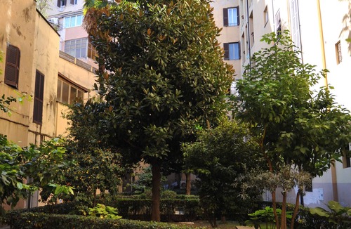 Vatican Apartment | 4 bedrooms, 4 bathrooms, 1 kitchen, 1 living room, 1 minute to the Vatican