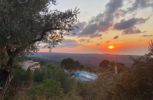 Vibo Valentia Hotel | 501 Hotel