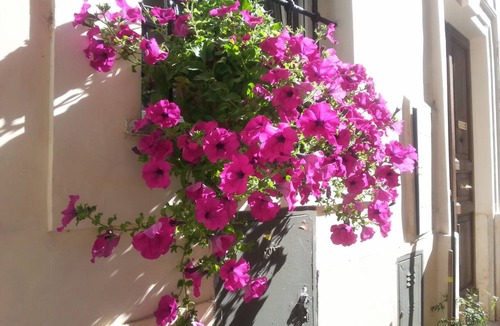 Trastevere Apartment | 60 m² Apartment ∙ 1 bedroom ∙ 5 guests