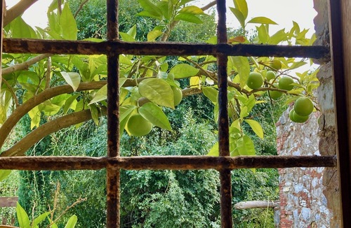 Vicopelago Apartment | Accommodations in a medieval tower in Lucca, surrounded by the tranquility of nature