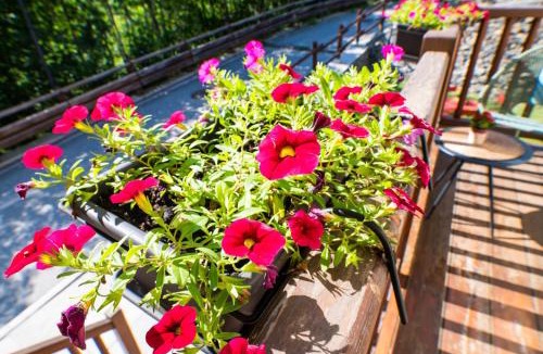 Coveyrand-Vieu Apartment | Achillea